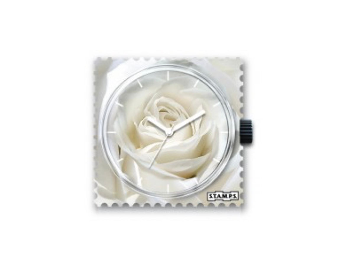 fleur, rose blanche, rose, timbre, montre, élégance, boutique Tulle