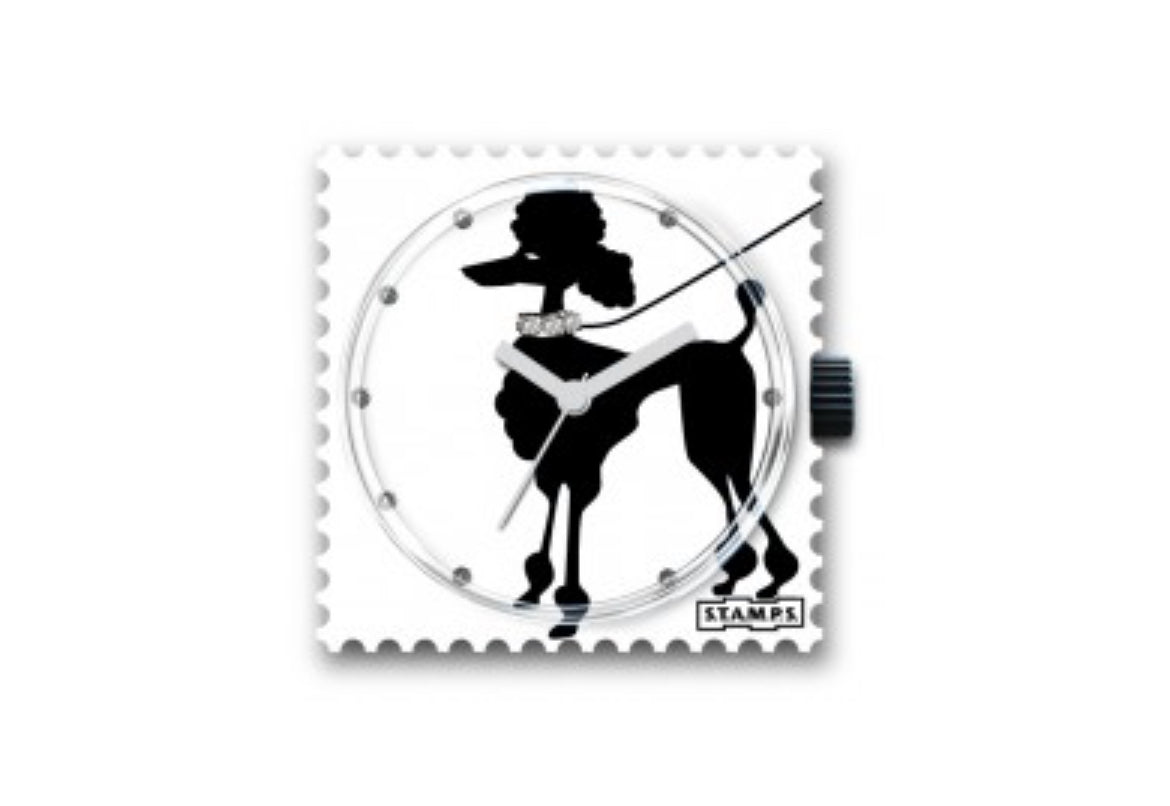 montre chien, caniche , toilettage, toilettes, strass , boutique Tulle