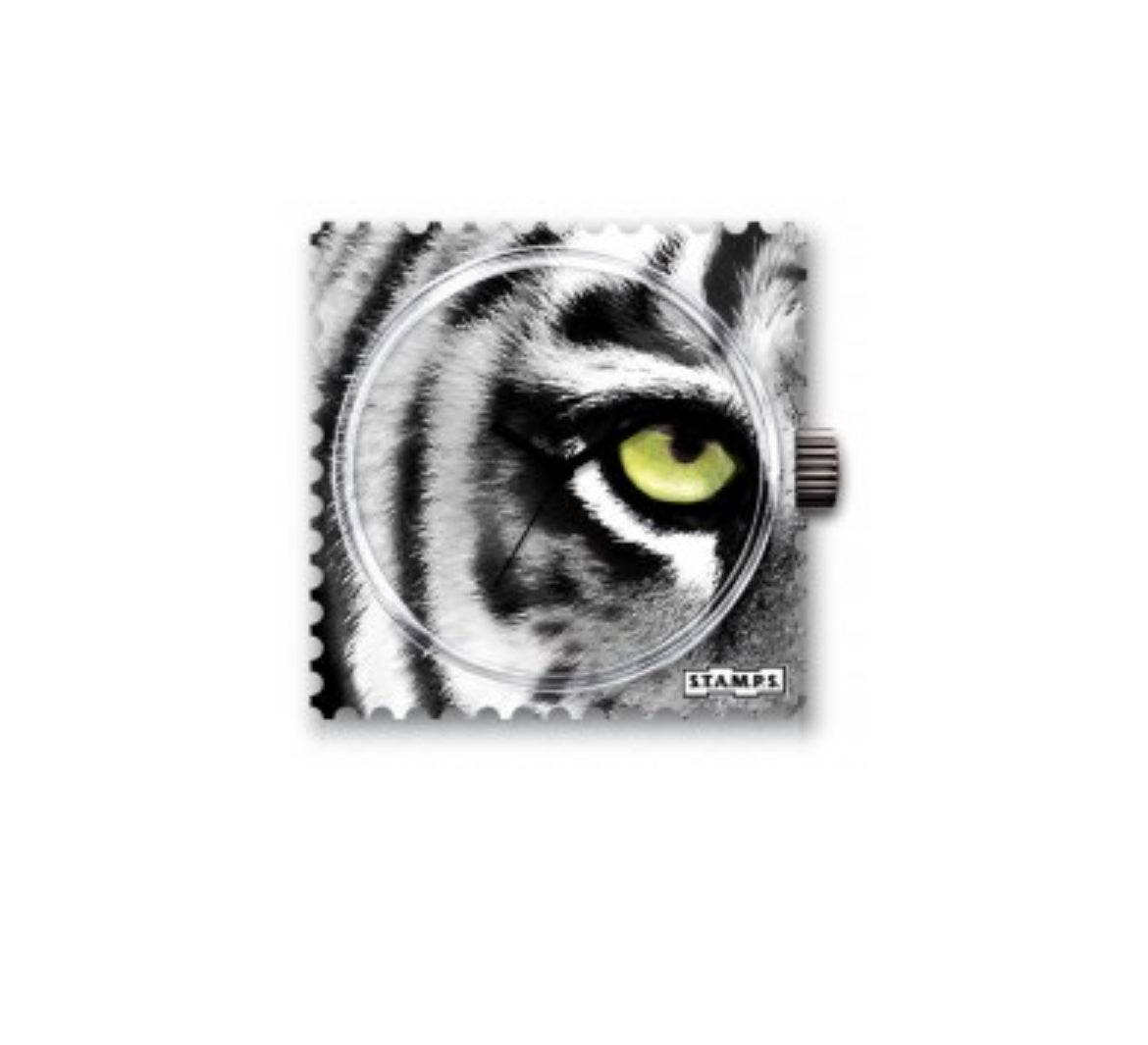 oeil du tigre, vert, oeil de chat, tigre blanc